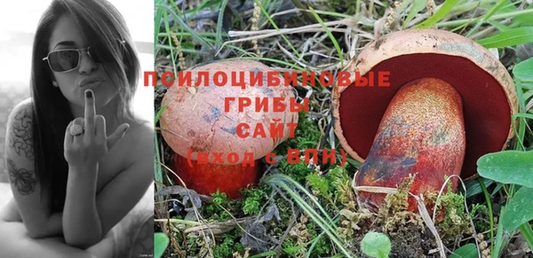 мяу мяу мука Надым