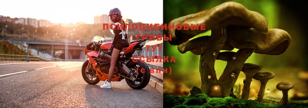 индика Навашино