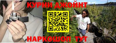 индика Заводоуковск