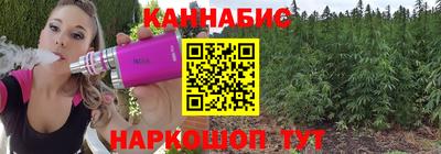 индика Заводоуковск