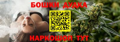 индика Заводоуковск