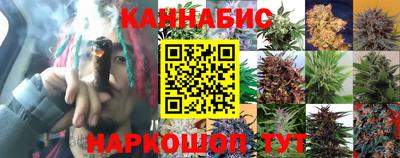 индика Заводоуковск