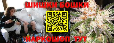 индика Заводоуковск