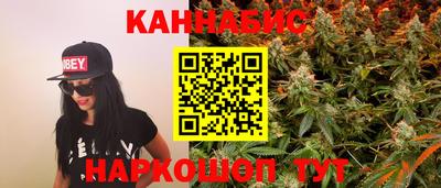 индика Заводоуковск