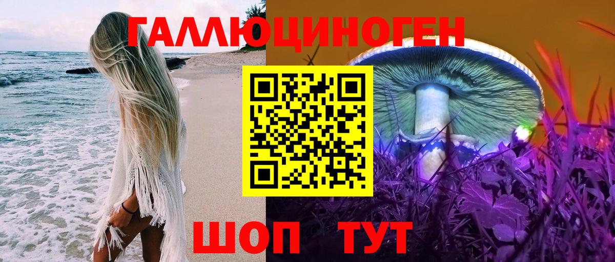 Псилоцибиновые грибы Psilocybe Энгельс