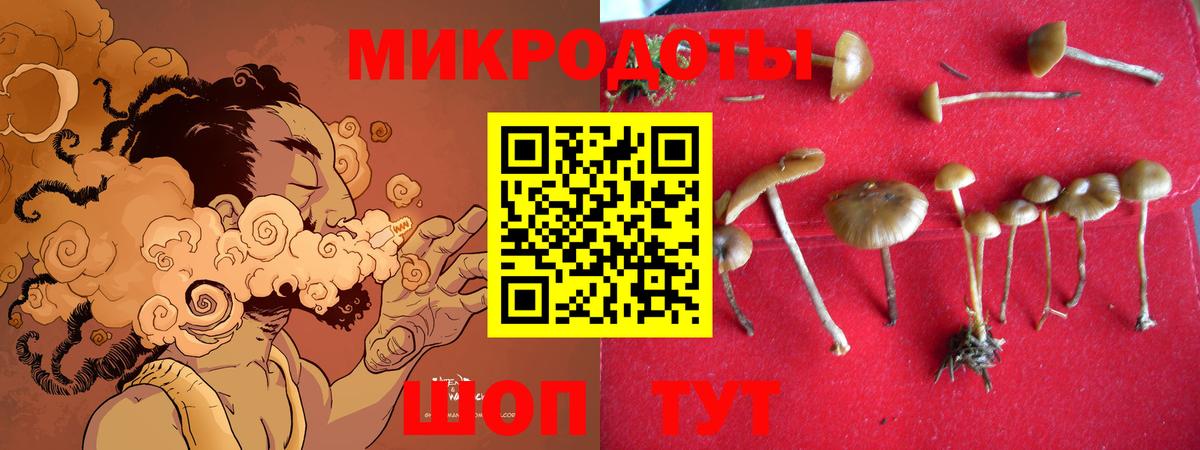 Псилоцибиновые грибы прущие грибы  Вход с VPN  Энгельс 