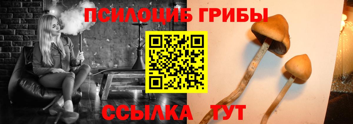 Галлюциногенные грибы ЛСД  Псилоцибиновые грибы Psilocybine cubensis  Энгельс 