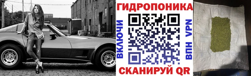 дарк нет как зайти  Энгельс  Канабис план 