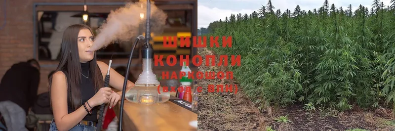 Бошки марихуана White Widow  купить закладку  маркетплейс как зайти  Энгельс 